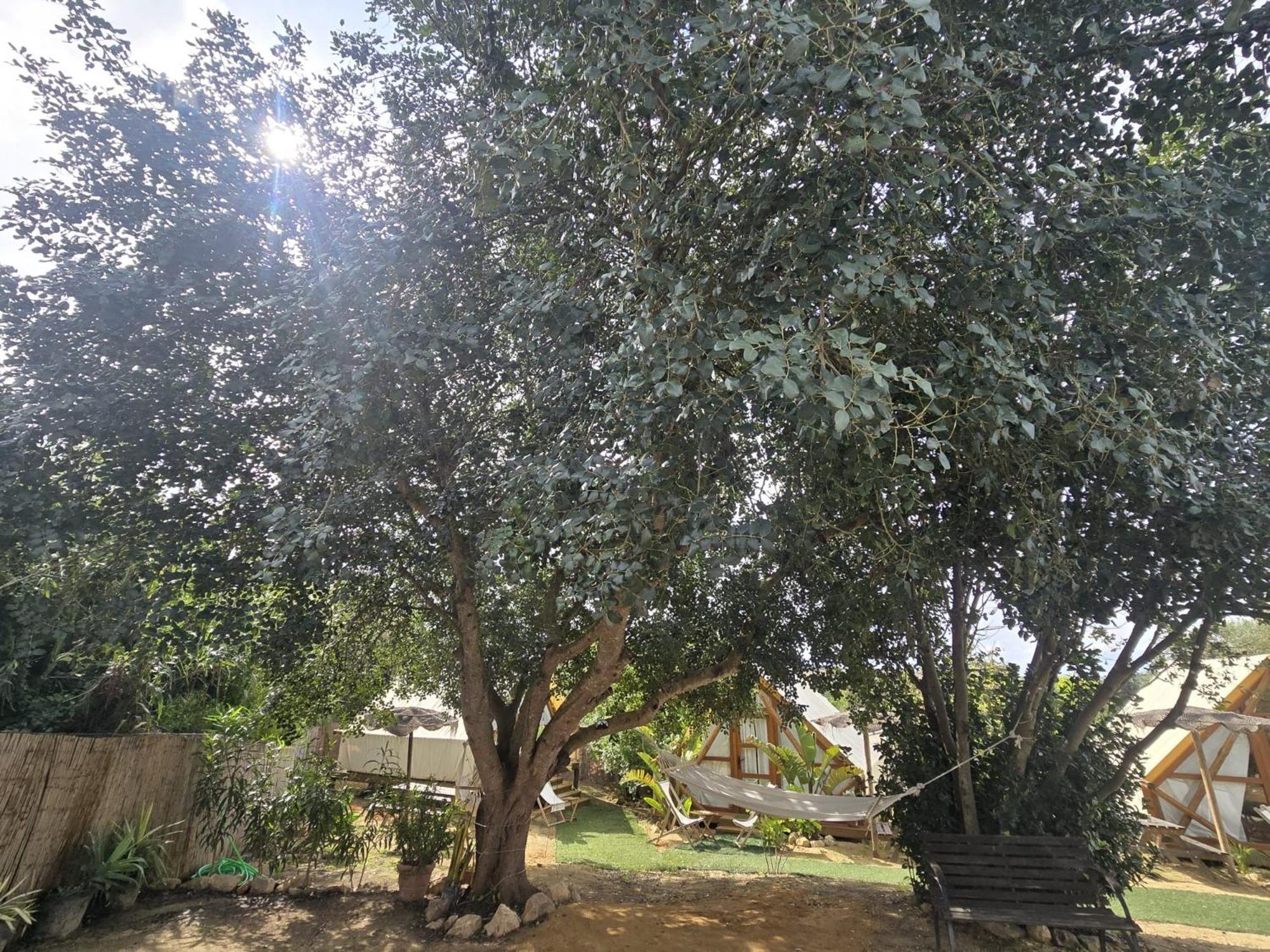 Boho Glamping Camping Cádiz